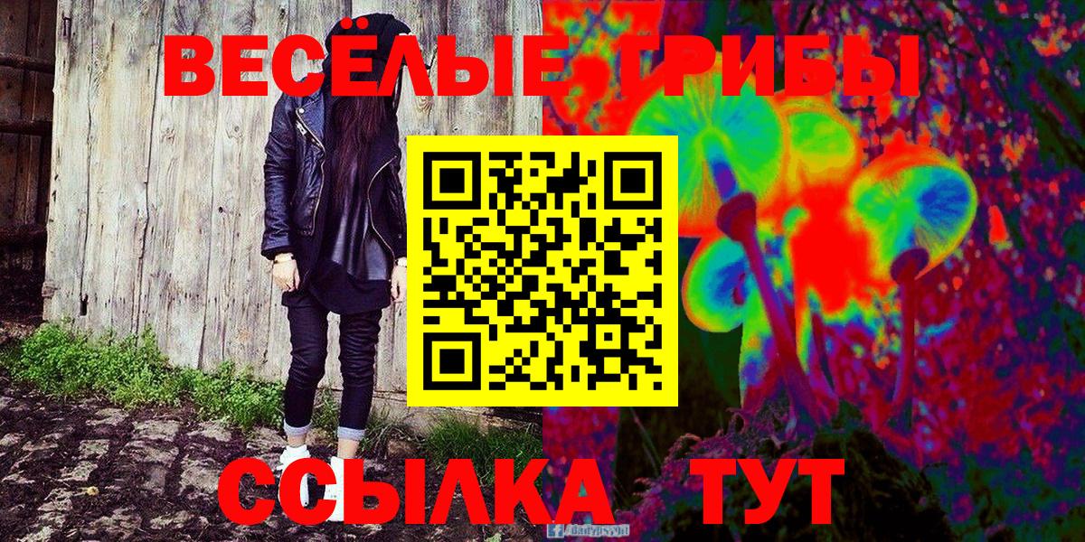 Галлюциногенные грибы прущие грибы  Вход с VPN  где найти   Ликино-Дулёво 